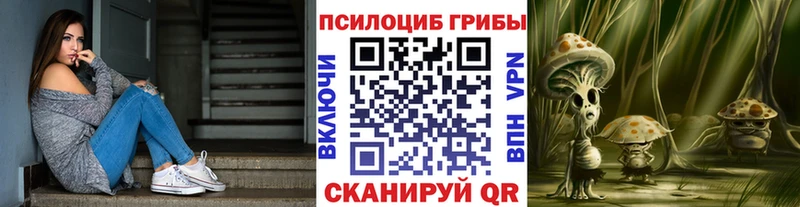 Купить где  Волжский  Галлюциногенные грибы мухоморы 